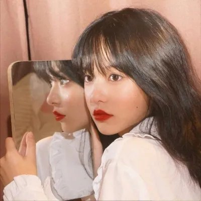 鲨人树儿